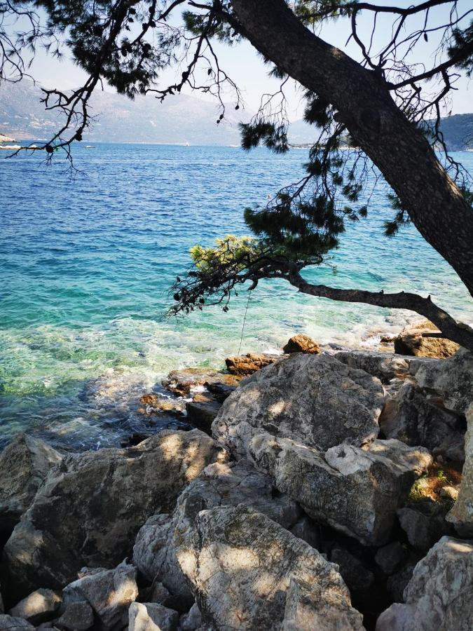 Villa Bosna Near Dubrovnik Very Beautiful Villa Entirely Privatized Swimming Pool, Jacuzzi, Sauna, Billiard, Ping-Pong Ivanica ภายนอก รูปภาพ
