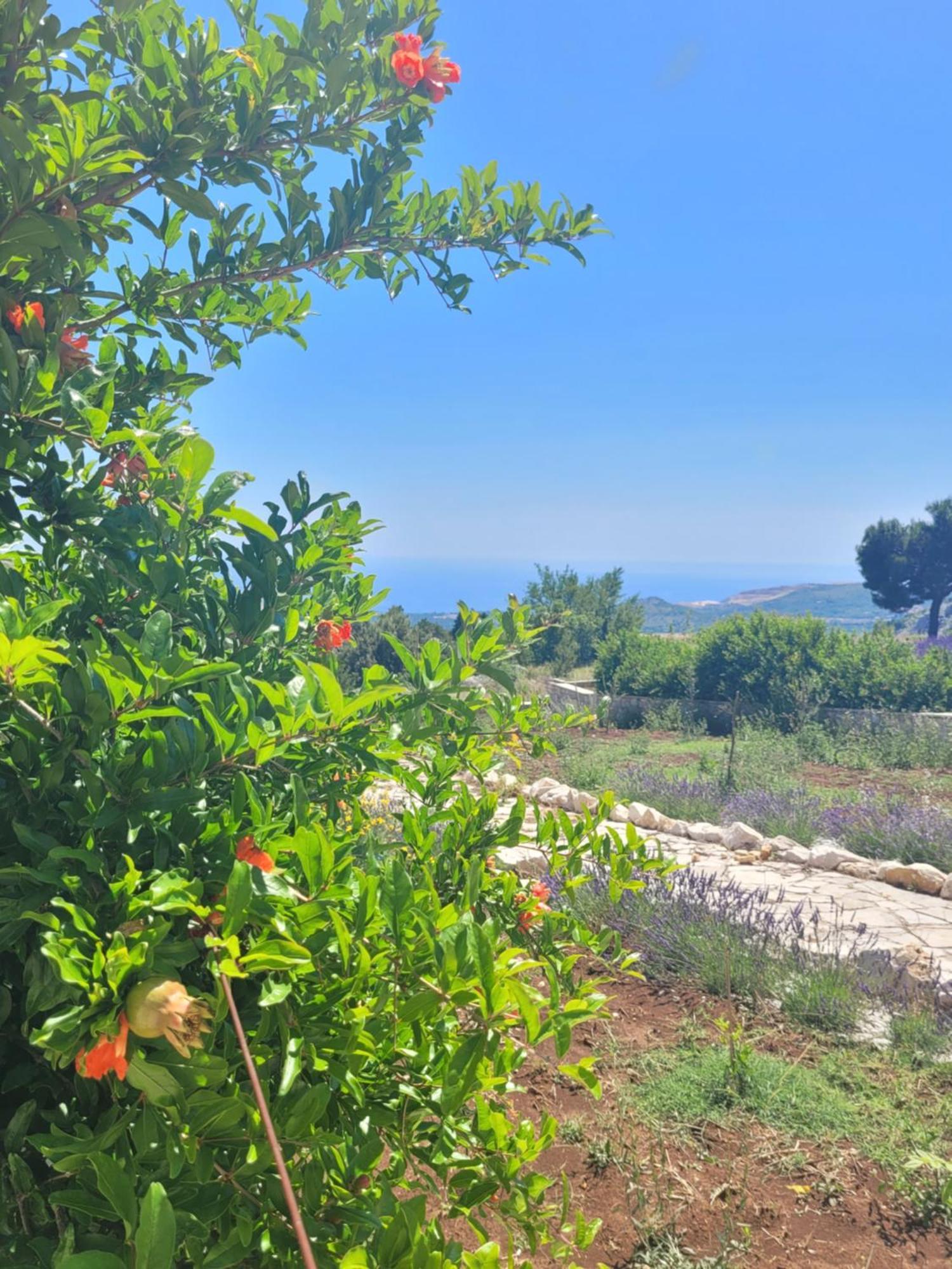 Villa Bosna Near Dubrovnik Very Beautiful Villa Entirely Privatized Swimming Pool, Jacuzzi, Sauna, Billiard, Ping-Pong Ivanica ภายนอก รูปภาพ